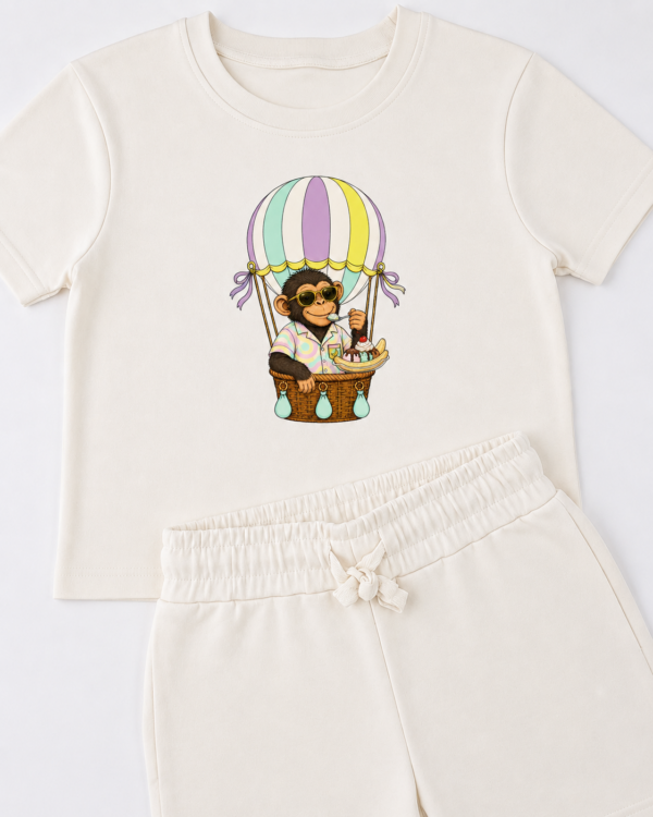 Sky Safari Monkey Summer Set
