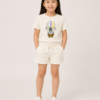 Zebra Model Front Sky Safari Zebra Summer Set