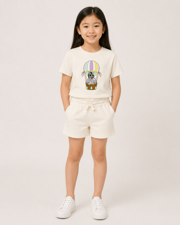 Zebra Model Front Sky Safari Zebra Summer Set