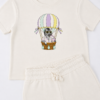 zebra Sky Safari Zebra Summer Set