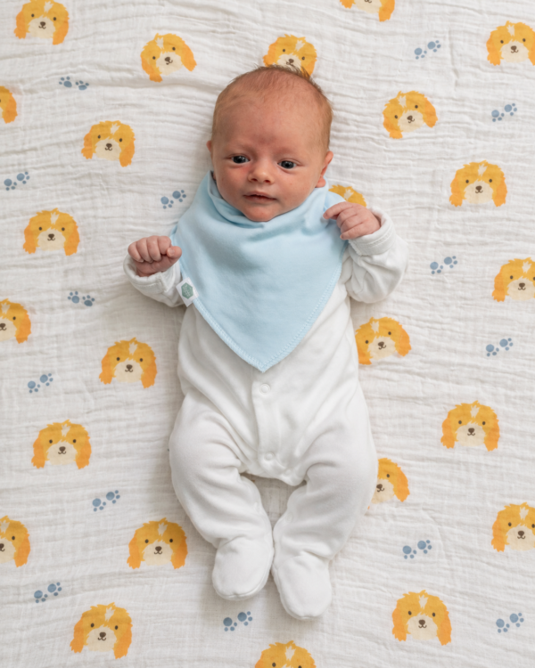 Ziggle Driftwood Waves Bandana Dribble Bibs – 4 Pack