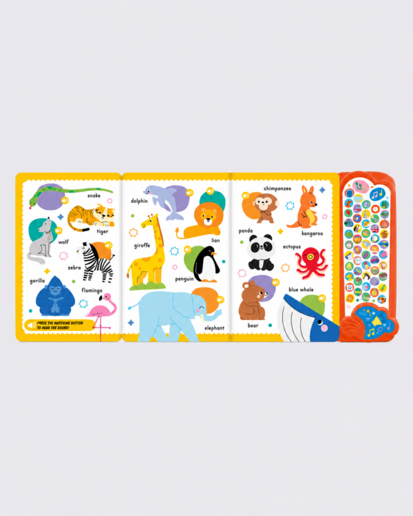 Colourful Animal Sound Book Display My First Words Interactive Sound Book – 50+ Sounds